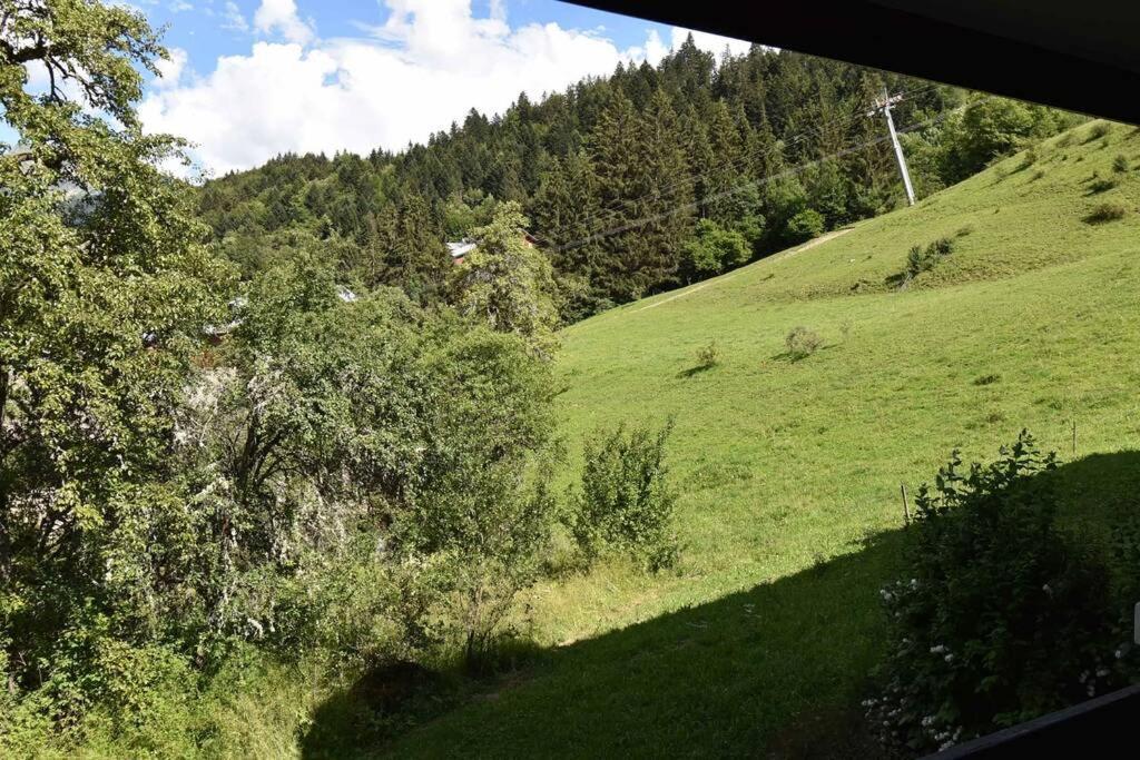 Les Cimes, Chaleureux Studio 4 Pers, 50M Du Telecabine, Vue Degagee Sur Les Pistes, Draps Non Compris Saint-Jean-dʼAulps Exterior foto